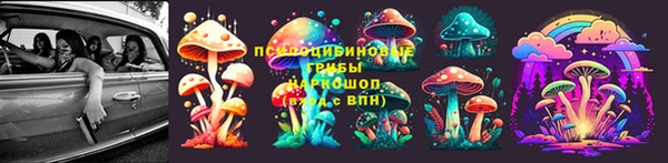 индика Богородицк