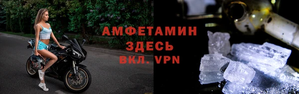индика Богородицк