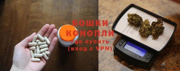 индика Богородицк