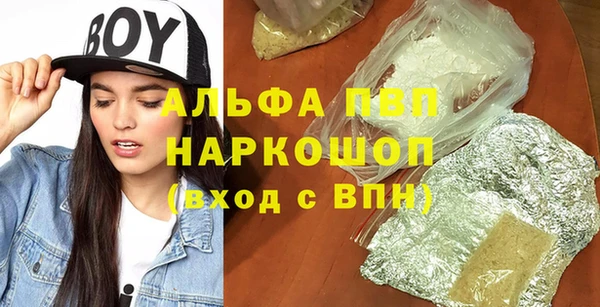 индика Богородицк