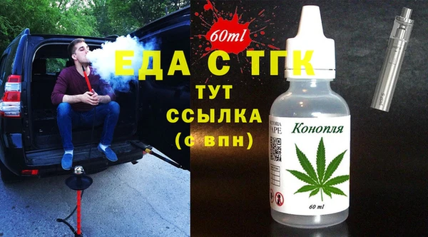 индика Богородицк