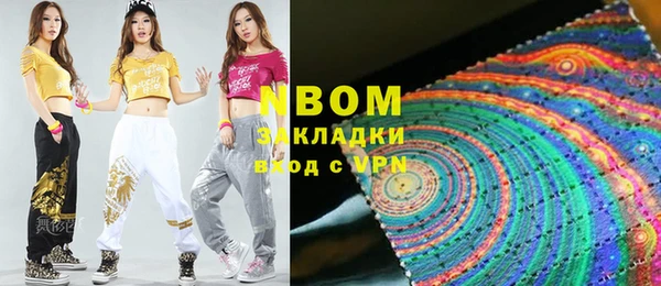 индика Богородицк