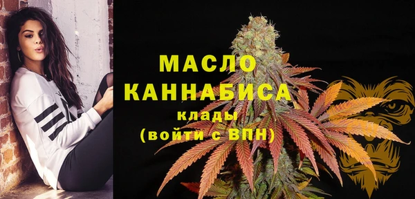 индика Богородицк