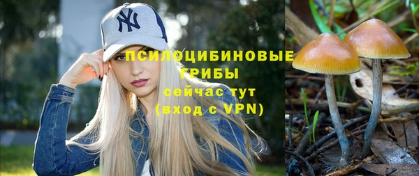 трава Богданович