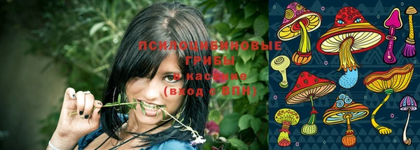 трава Богданович