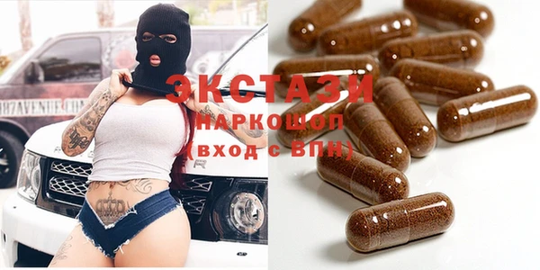 индика Богородицк