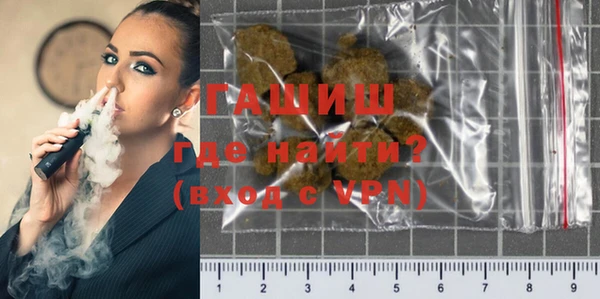 индика Богородицк
