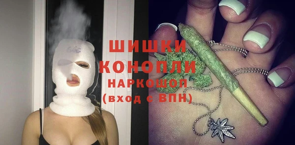 индика Богородицк