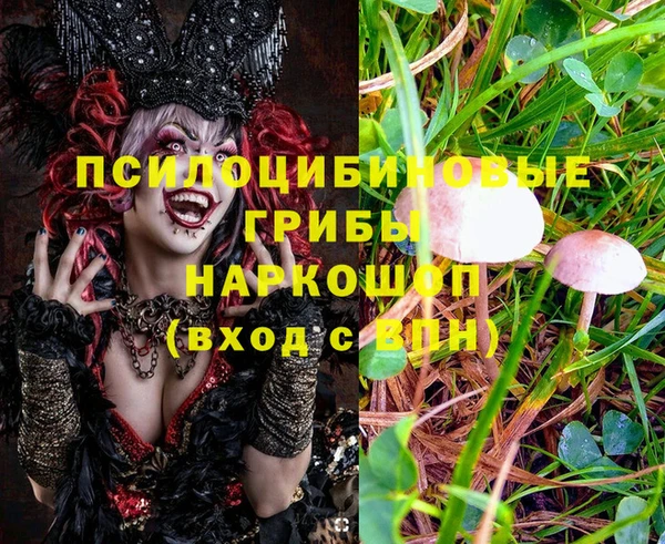 индика Богородицк