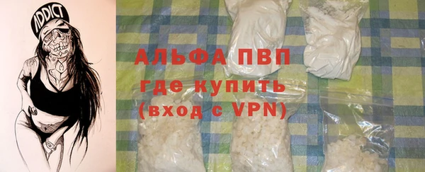 индика Богородицк