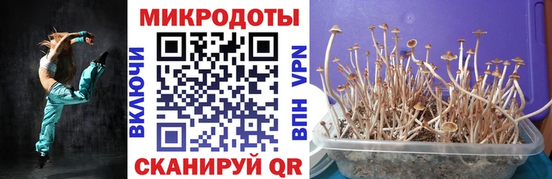 цена   Новосиль  shop какой сайт  Галлюциногенные грибы Psilocybine cubensis 